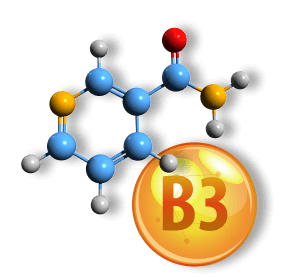 citrusburn Ingredients
